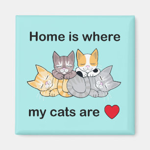 Home is where my cats are magnet turquoise 