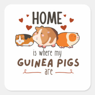 Home Is Where My Guinea Pigs Are Square Sticker
