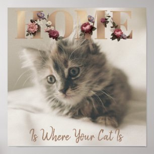 Home Is Where Your Cat Is Poster
