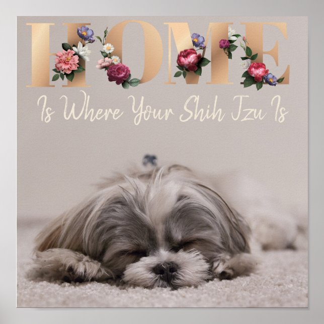Home Is Where Your Shih Tzu Is Poster (Front)