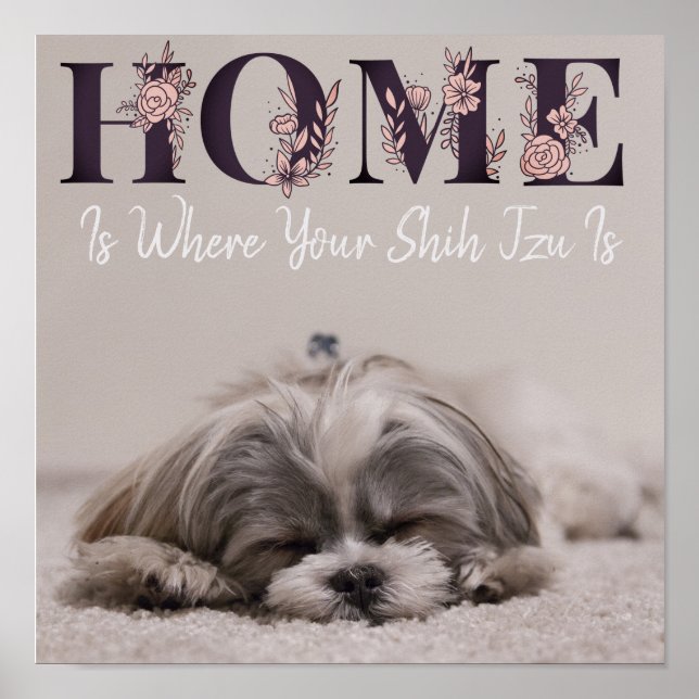 Home Is Where Your Shih Tzu Is Poster (Front)