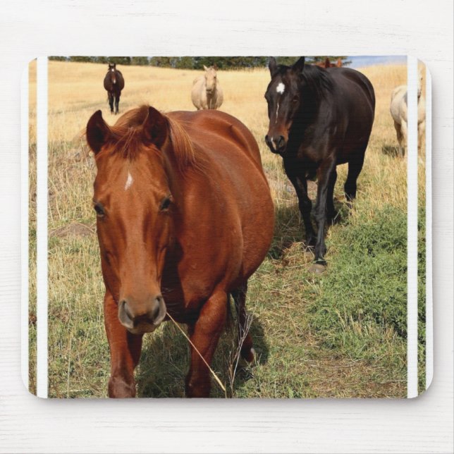Home on the Range Mouse Pad (Front)