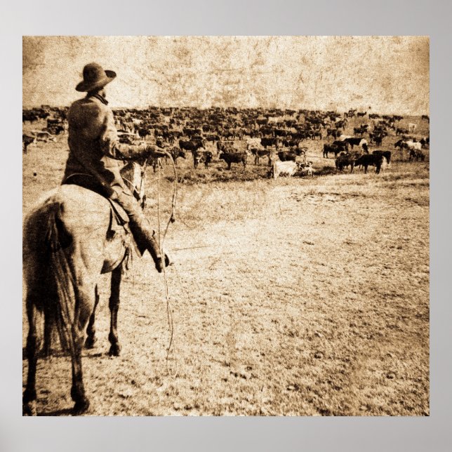 Home on the Range Poster (Front)