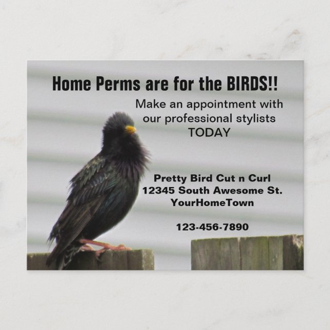 Home Perm Salon Mailer Postcard (Front)