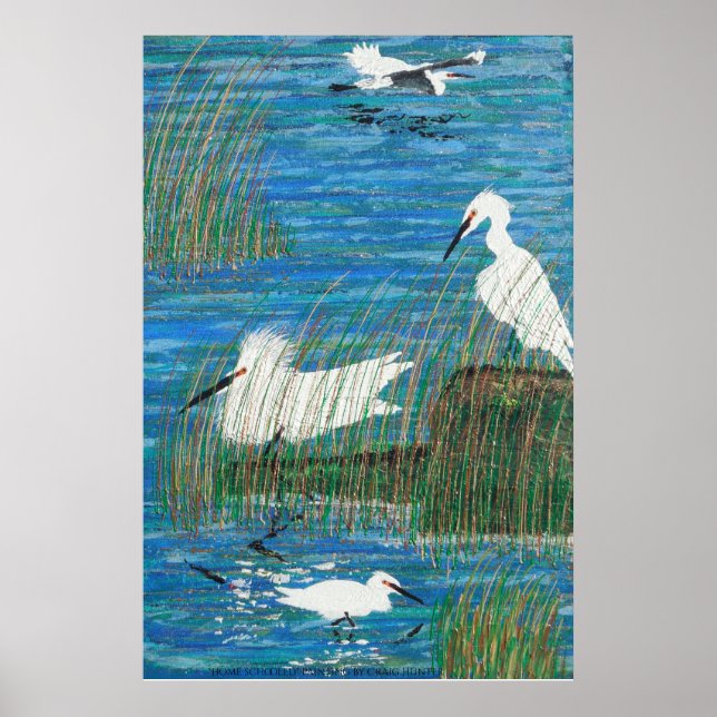 Home schooled poster (Front)