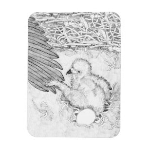 HOME Second Nature E14 Going Home on Ozzie's Wing Magnet