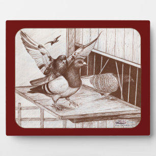 Homecoming Homers Plaque