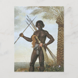 Homem africano (African man) by Albert Eckhout Postcard