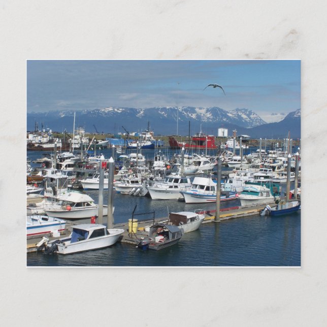 Homer Alaska Postcard (Front)