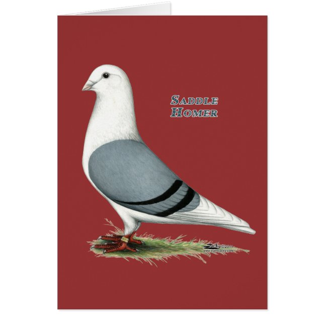 Homer Blue Saddle (Front)