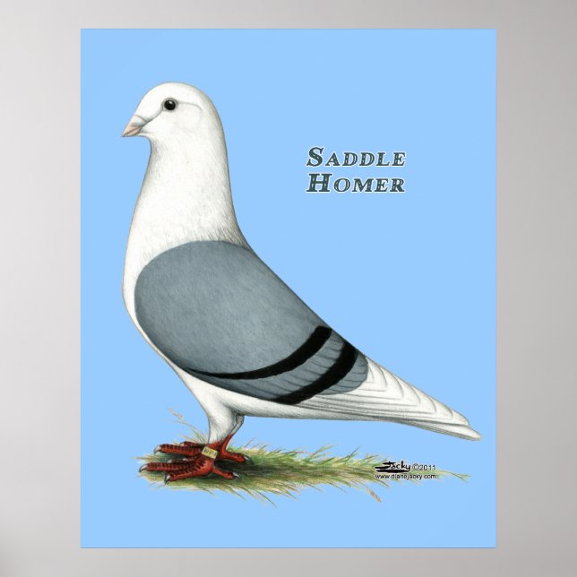 Homer Blue Saddle Poster (Front)