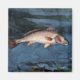 Homer - Channel Bass, Florida, Magnet