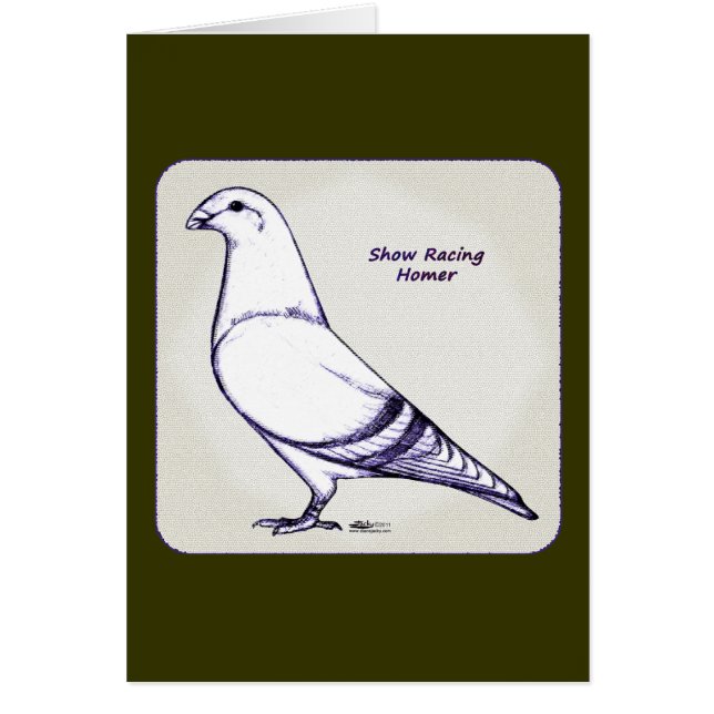 Homer Design (Front)