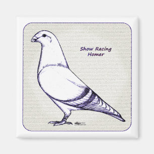 Homer Design Magnet