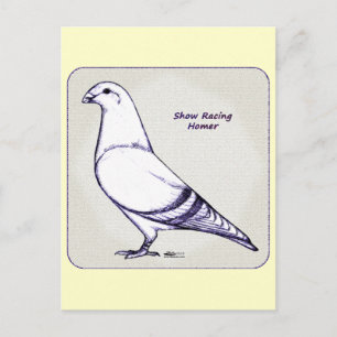 Homer Design Postcard