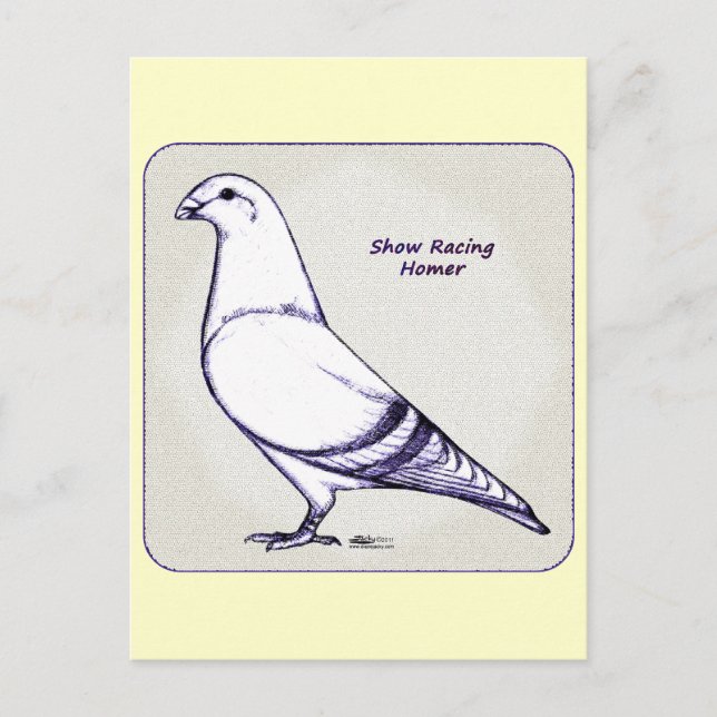 Homer Design Postcard (Front)