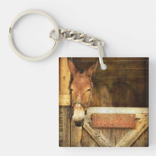 Homer the Mule key chain (Front)