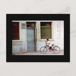 Homeward Bound Postcard