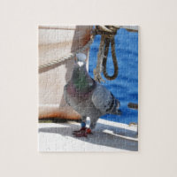Homing Pigeon