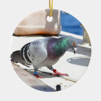Homing Pigeon On A Yacht Ceramic Ornament