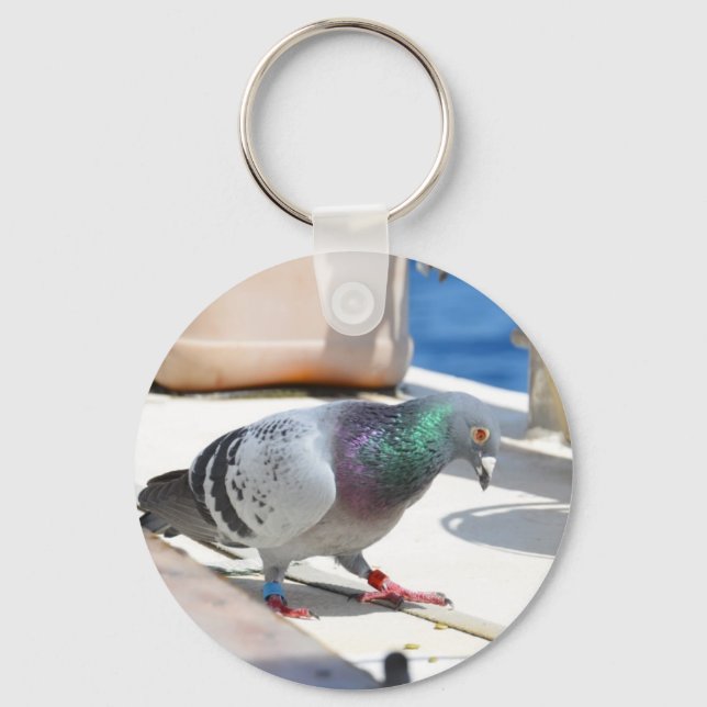 Homing Pigeon On A Yacht Key Ring (Front)