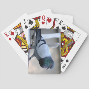 Homing Pigeon on the Loft Playing Cards