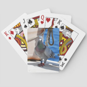 Homing Pigeon Playing Cards