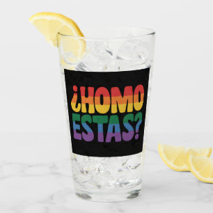 Homo Estas Funny Spanish Mexican Gay Ally LGBTQ Glass