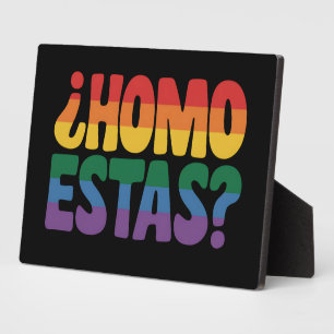 Homo Estas Funny Spanish Mexican Gay Ally LGBTQ Plaque
