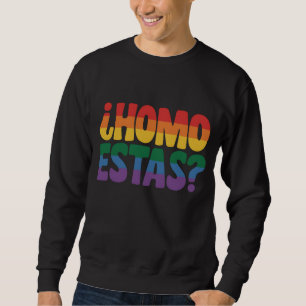 Homo Estas Funny Spanish Mexican Gay Ally LGBTQ Sweatshirt