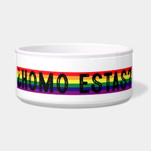 Homo Estas Spanish Mexican Gay Pride LGBTQ Month