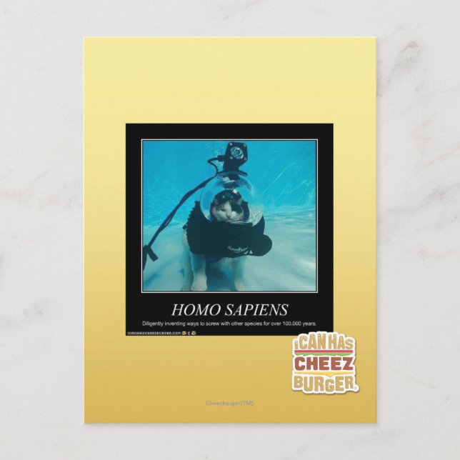 Homo Sapiens Postcard (Front)