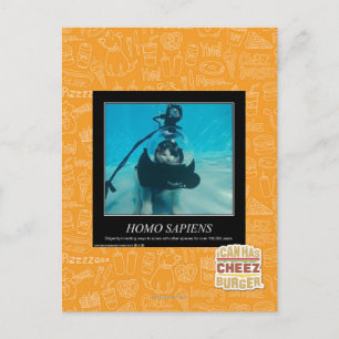 Homo Sapiens Postcard