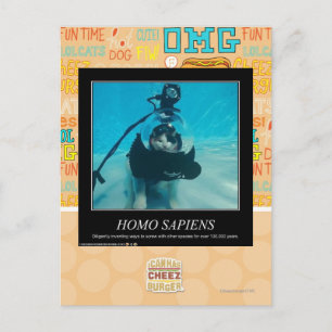 Homo Sapiens Postcard