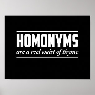 Homonyms Poster