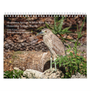 Homosassa Springs Wildlife Park 2025 Calendar