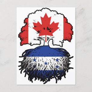 Honduras Honduran Canadian Canada Tree Roots Flag Postcard