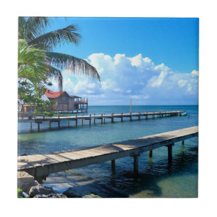 Honduras - Roantan Beach Ceramic Tile