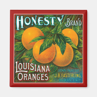Honesty Louisiana Oranges Magnet