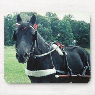 Honey - A Very Special Pony Mouse Pad
