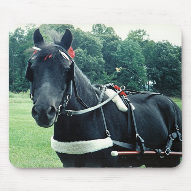 Honey - A Very Special Pony Mouse Pad (Front)