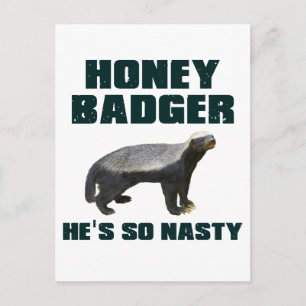 Honey Badger He's So Nasty Postcard