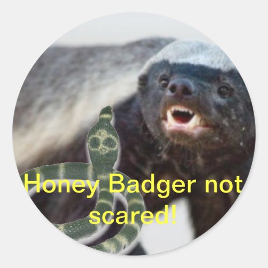 honey badger not scared classic round sticker | Zazzle.com.au
