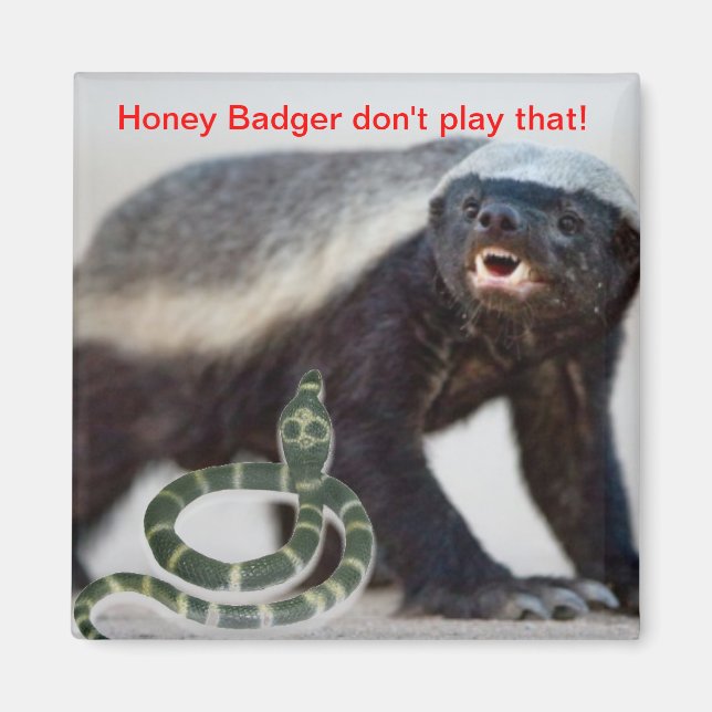 honey badger not scared magnet (Front)