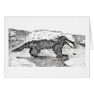 Honey Badger or Ratel