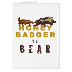 Honey Badger vs Bear