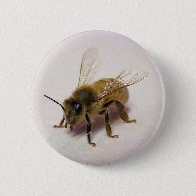 Honey bee 6 cm round badge (Front)