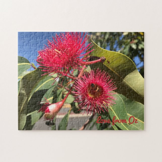 Honey Bee and Eucalyptus Flowers Jigsaw Puzzle (Horizontal)