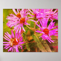 Honey Bee Aster Flower Distressed Art