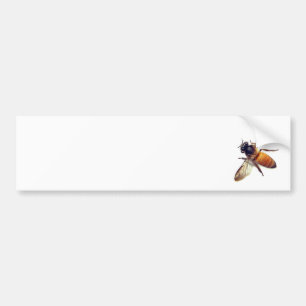 Honey Bee Bumper Sticker